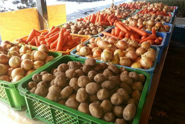 【群馬県内発】 越後秋の大収穫祭ワンツースリー! 紅ズワイガニ1杯 新米2㎏ 野菜3種詰め放題 日帰り3